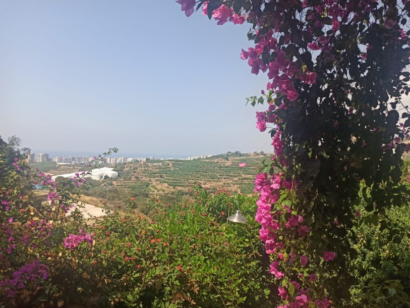 ویلا آپارتمان ۱ خوابه، ویلا، آلانیا-6