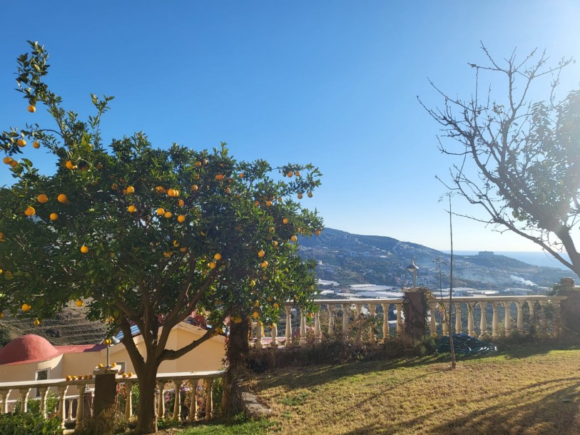 Goldcity Apart 1+1 Villa, 1 Bathroom, 65m²  - Alanya-12